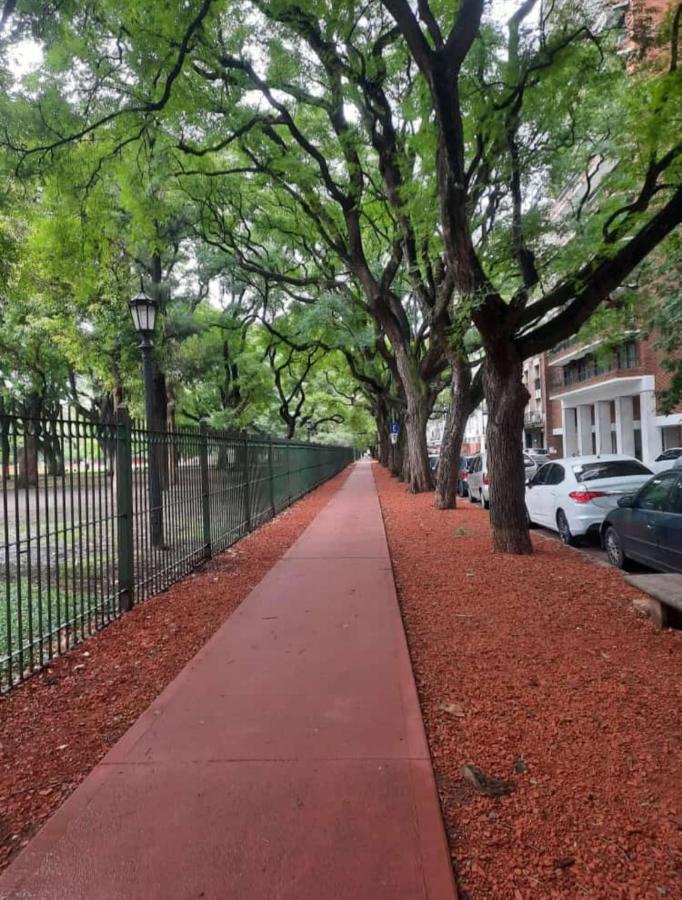 Muy Luminoso Palermo Chico 10' Aeroparque 100m del Mater dei Ciudad Autónoma de Buenos Aires Exterior foto