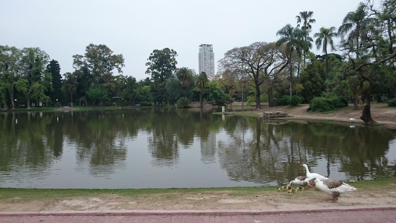 Muy Luminoso Palermo Chico 10' Aeroparque 100m del Mater dei Ciudad Autónoma de Buenos Aires Exterior foto